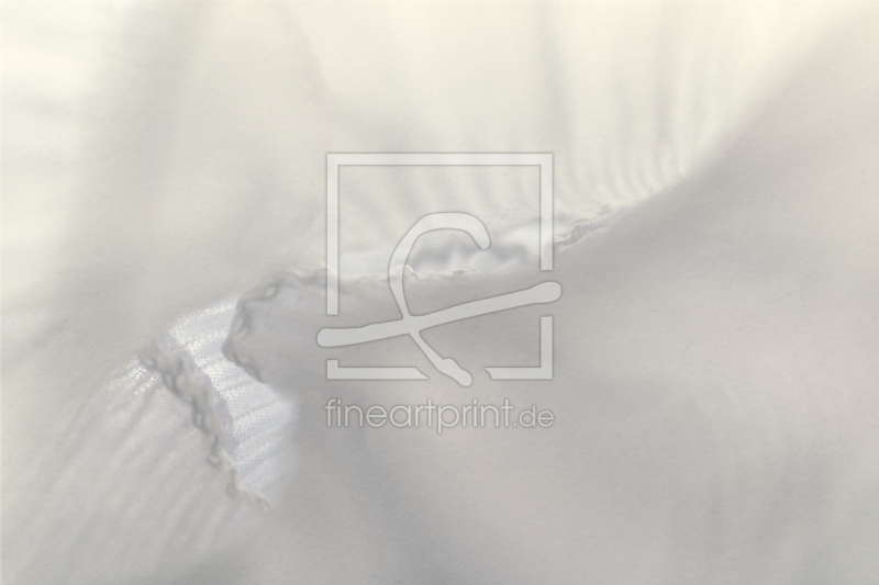 frei w&auml;hlbarer Bildausschnitt f&uuml;r Ihr Bild auf Tischdecke