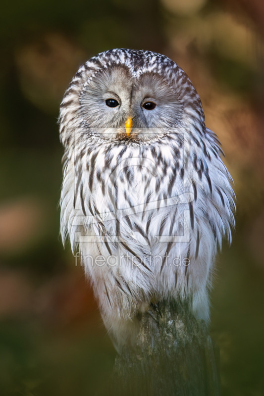 frei wählbarer Bildausschnitt für Ihr Bild auf Tischdecke