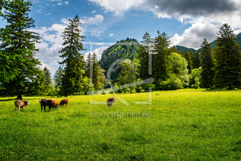 frei w&auml;hlbarer Bildausschnitt f&uuml;r Ihr Bild auf Tischdecke