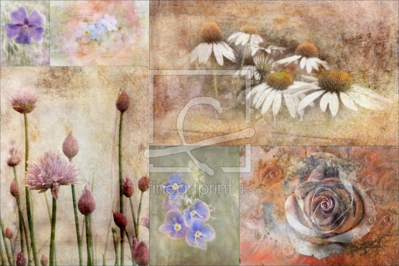 frei wählbarer Bildausschnitt für Ihr Bild auf Türfolie