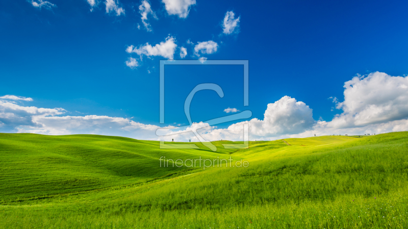 frei wählbarer Bildausschnitt für Ihr Bild auf Türfolie