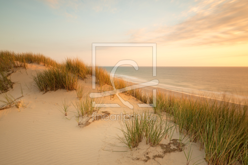 frei wählbarer Bildausschnitt für Ihr Bild auf Türfolie