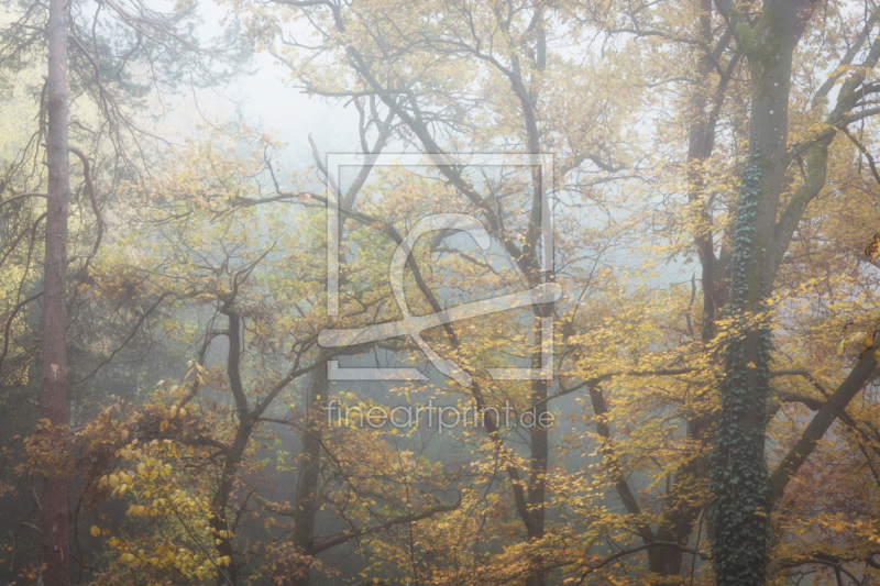 frei wählbarer Bildausschnitt für Ihr Bild auf Türfolie