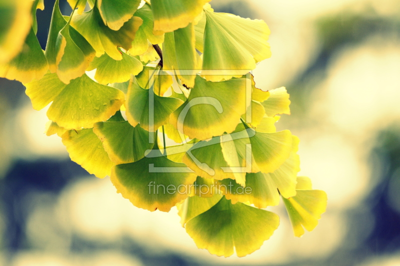 frei wählbarer Bildausschnitt für Ihr Bild auf Türfolie