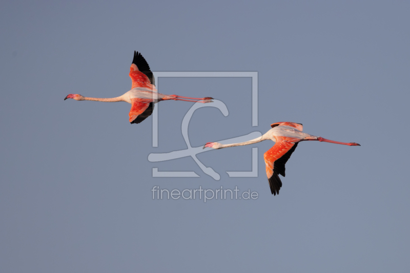 frei wählbarer Bildausschnitt für Ihr Bild auf Türfolie