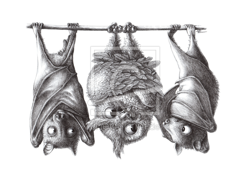 frei wählbarer Bildausschnitt für Ihr Bild auf Türfolie