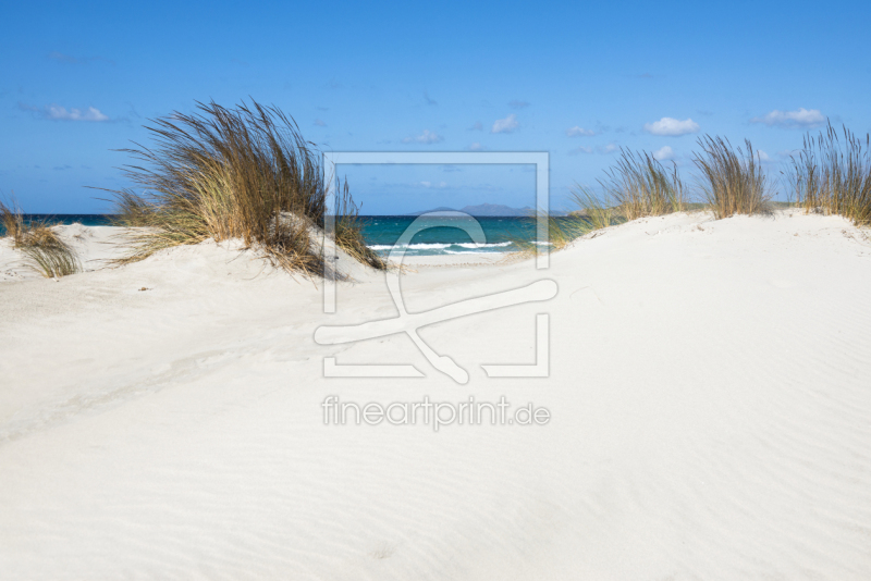 frei wählbarer Bildausschnitt für Ihr Bild auf Türfolie