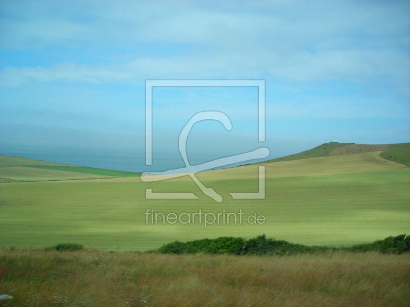 frei wählbarer Bildausschnitt für Ihr Bild auf Türfolie