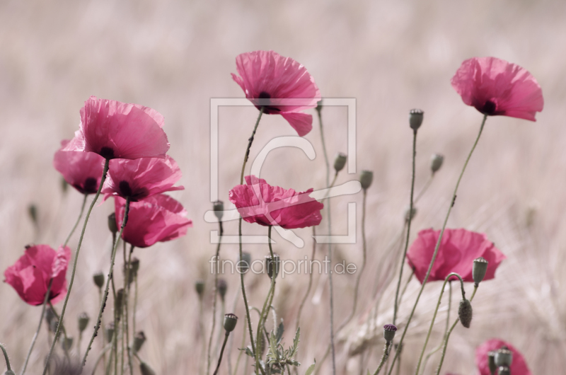 frei w&auml;hlbarer Bildausschnitt f&uuml;r Ihr Bild auf Untersetzer