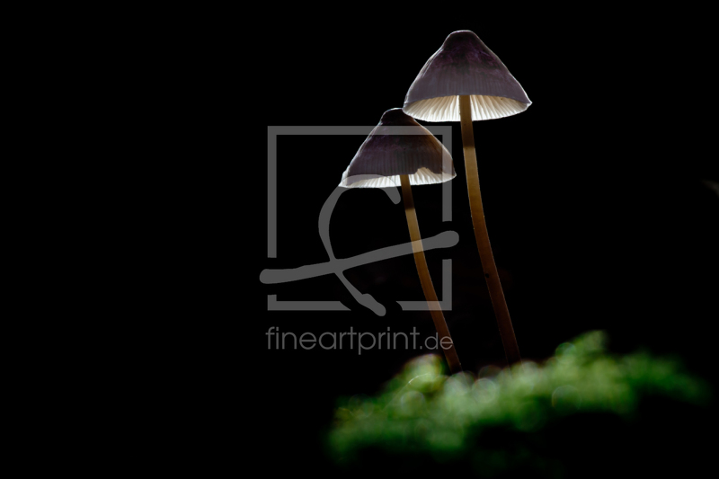 frei w&auml;hlbarer Bildausschnitt f&uuml;r Ihr Bild auf Untersetzer