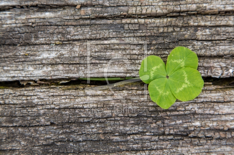 frei w&auml;hlbarer Bildausschnitt f&uuml;r Ihr Bild auf Untersetzer