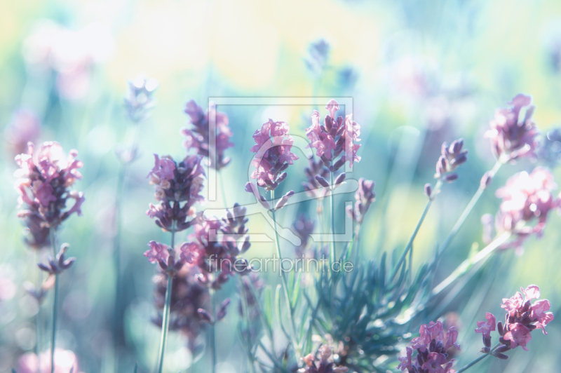 frei w&auml;hlbarer Bildausschnitt f&uuml;r Ihr Bild auf Untersetzer