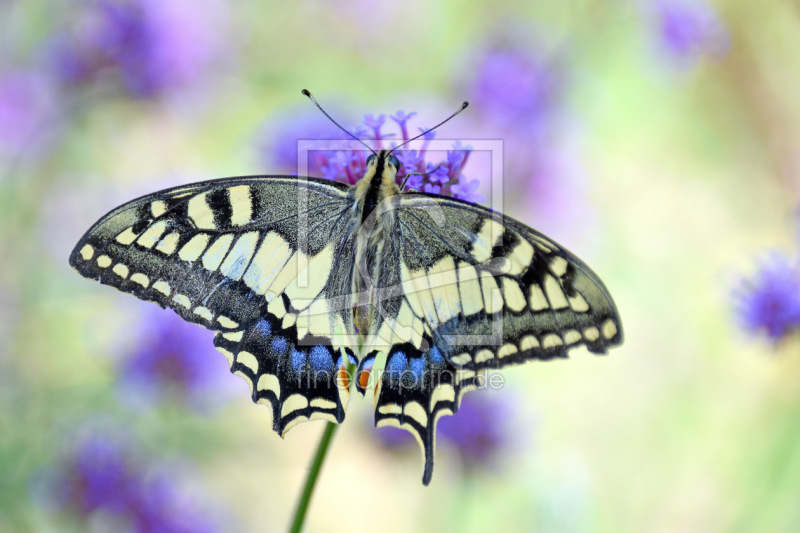 frei wählbarer Bildausschnitt für Ihr Bild auf Untersetzer