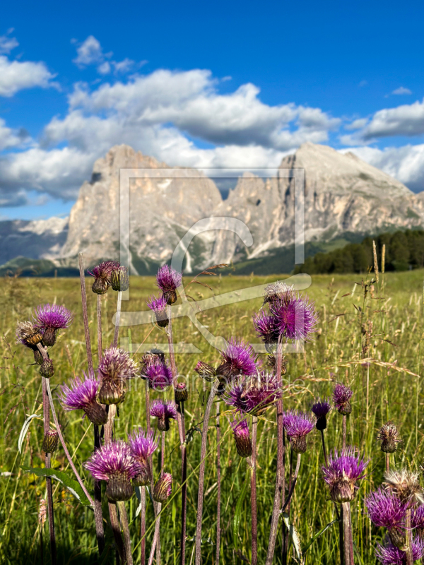 frei wählbarer Bildausschnitt für Ihr Bild auf Untersetzer