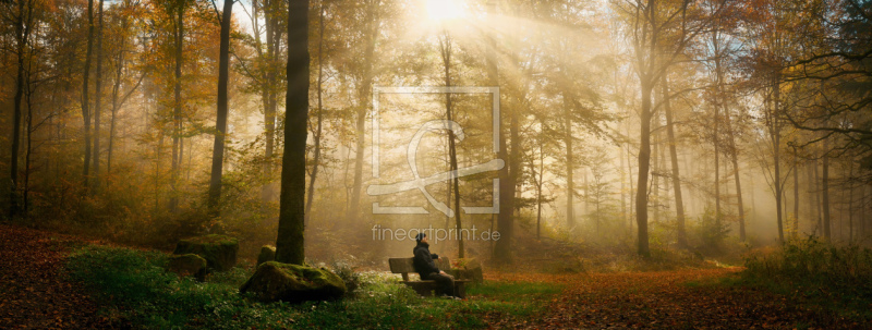 frei wählbarer Bildausschnitt für Ihr Bild auf Untersetzer