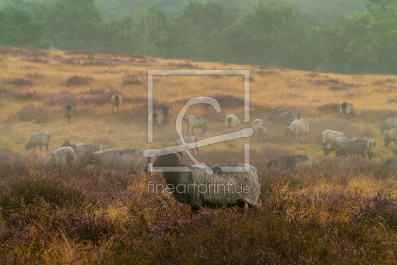 frei wählbarer Bildausschnitt für Ihr Bild auf Untersetzer