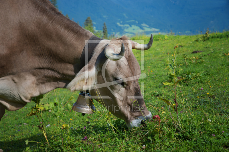frei wählbarer Bildausschnitt für Ihr Bild auf Untersetzer