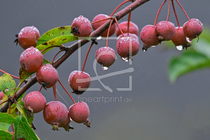 frei wählbarer Bildausschnitt für Ihr Bild auf Untersetzer