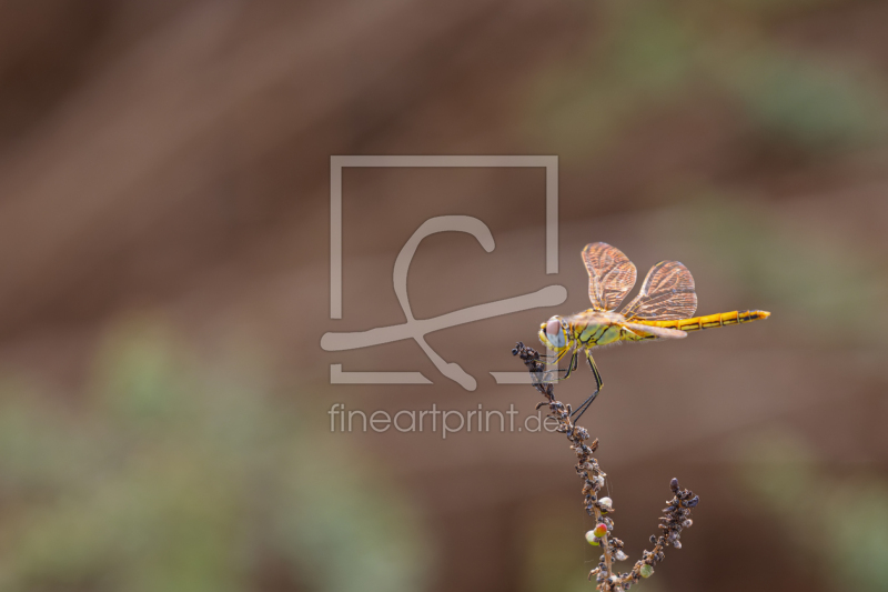 frei wählbarer Bildausschnitt für Ihr Bild auf Untersetzer