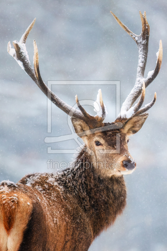 frei w&auml;hlbarer Bildausschnitt f&uuml;r Ihr Bild auf Untersetzer