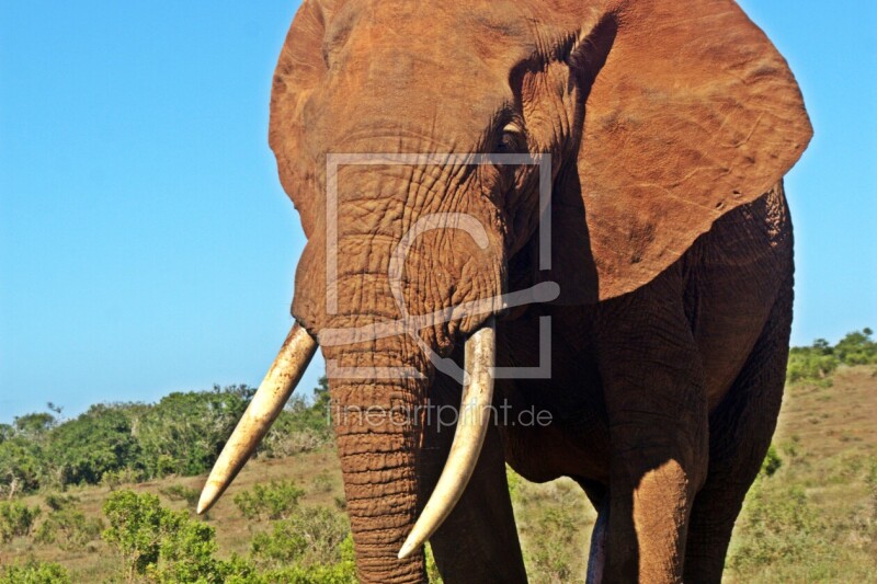 frei w&auml;hlbarer Bildausschnitt f&uuml;r Ihr Bild auf Untersetzer