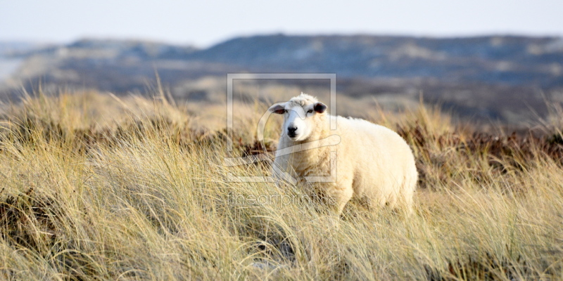 frei w&auml;hlbarer Bildausschnitt f&uuml;r Ihr Bild auf Untersetzer