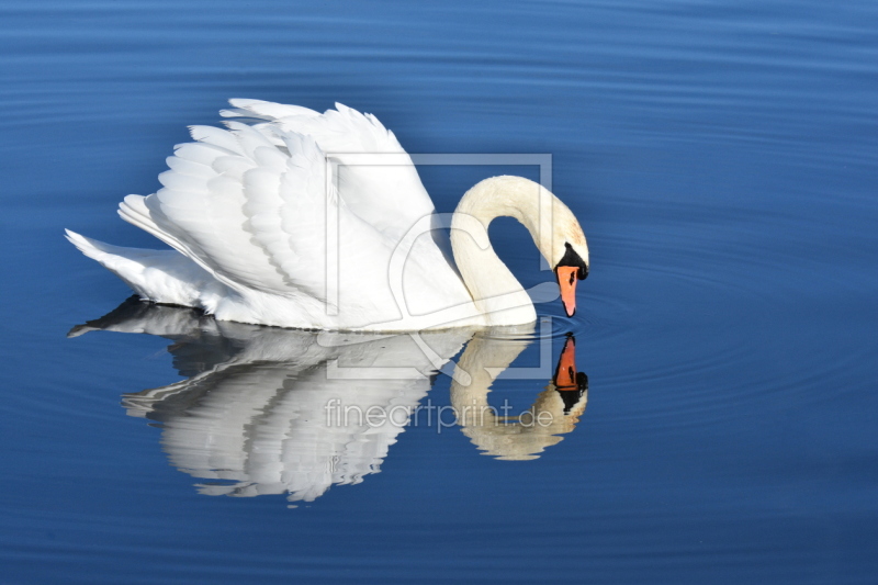 frei w&auml;hlbarer Bildausschnitt f&uuml;r Ihr Bild auf Untersetzer