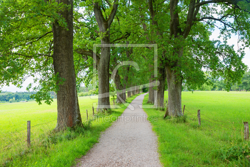 frei w&auml;hlbarer Bildausschnitt f&uuml;r Ihr Bild auf Untersetzer