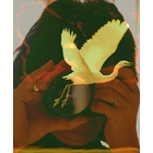 Laake-Fotos Laake-Fotos